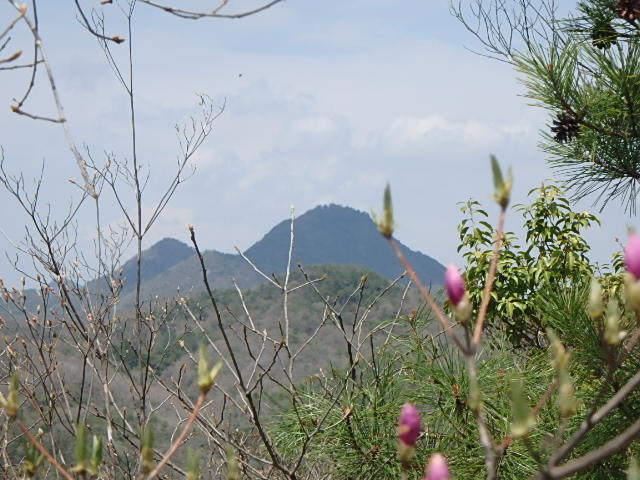 f0334143_849318.jpg