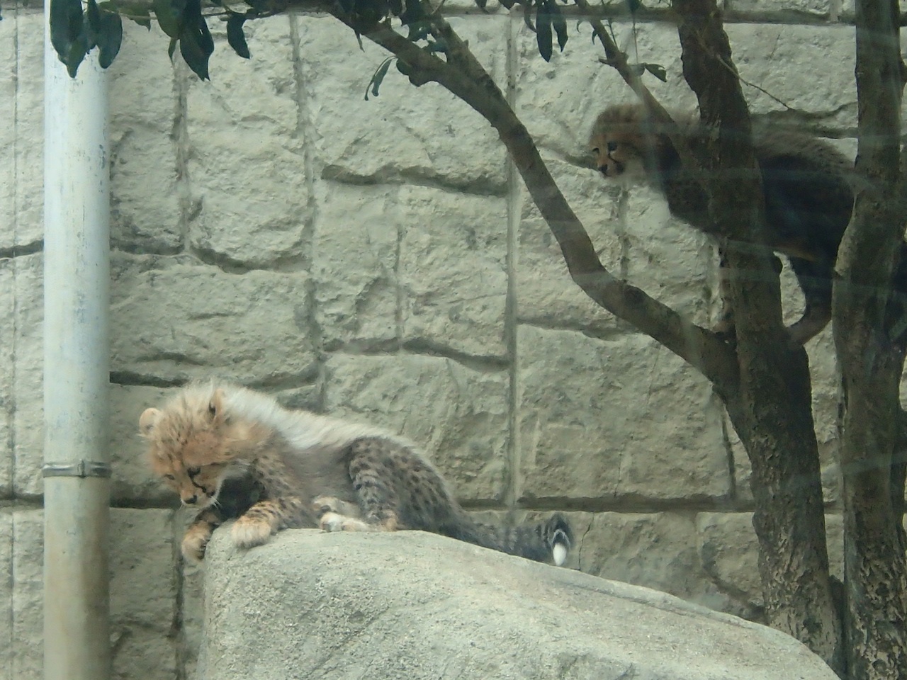 b0009046_20382641.jpg
