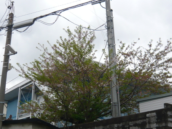 e0206847_09131005.jpg