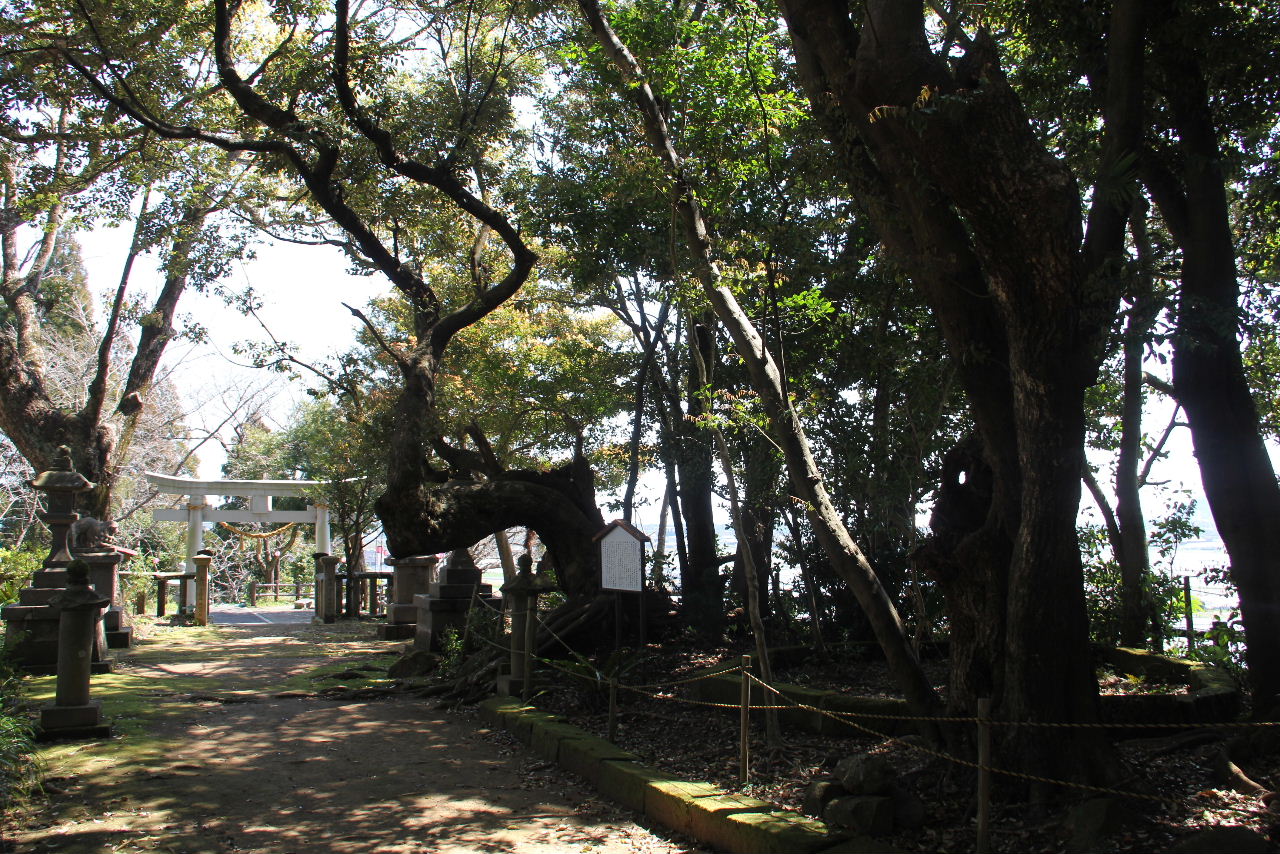 c0011649_8175269.jpg