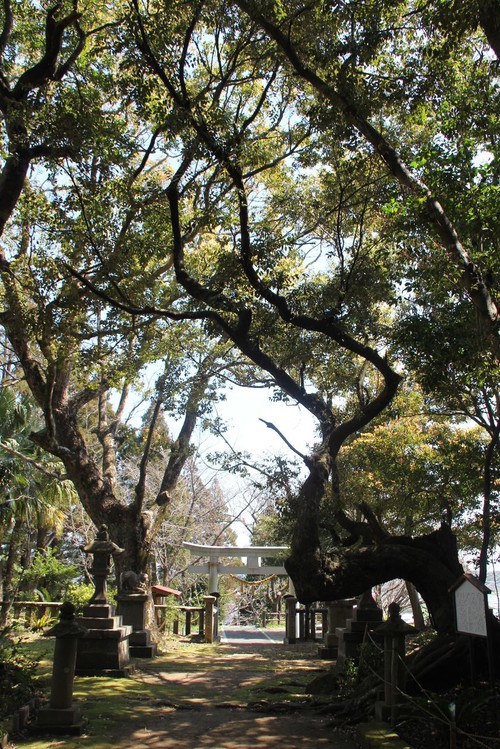 c0011649_8464688.jpg