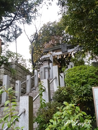 c0176651_16515877.jpg