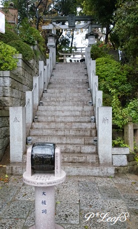 c0176651_1652107.jpg