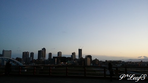 c0176651_16531150.jpg