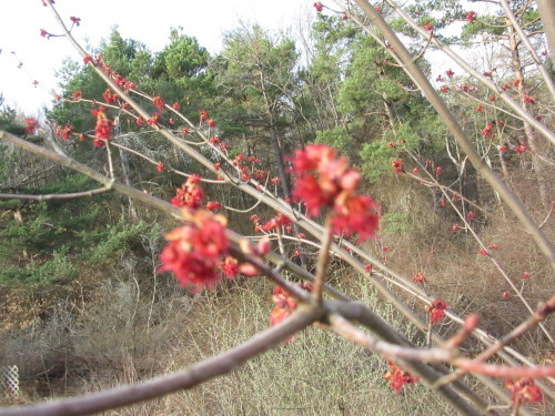 b0247153_09042145.jpg