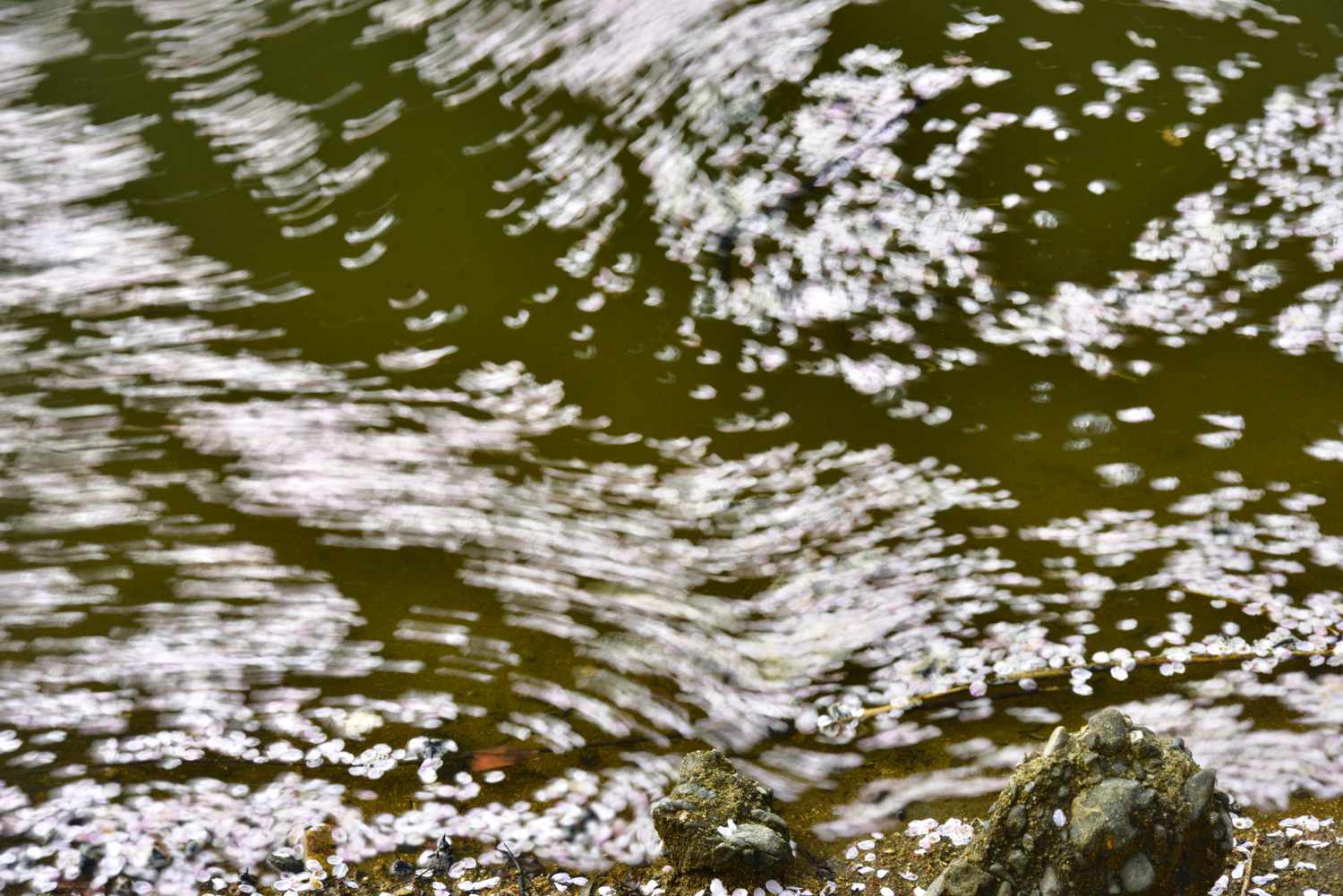 d0286954_15404957.jpg