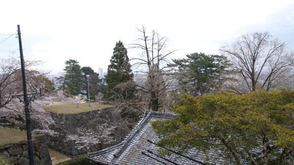 d0202264_1411207.jpg
