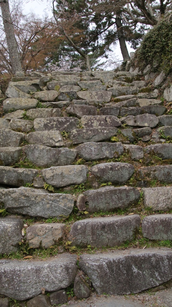 d0202264_1475273.jpg