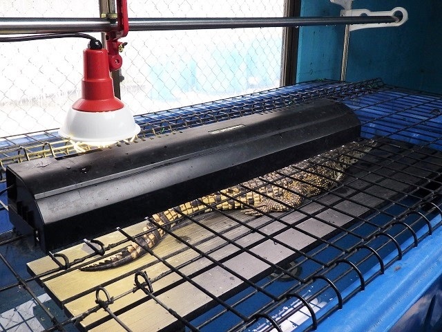 c0105569_01512749.jpg