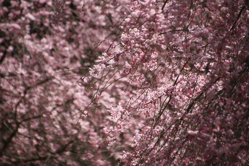 c0107075_23072165.jpg