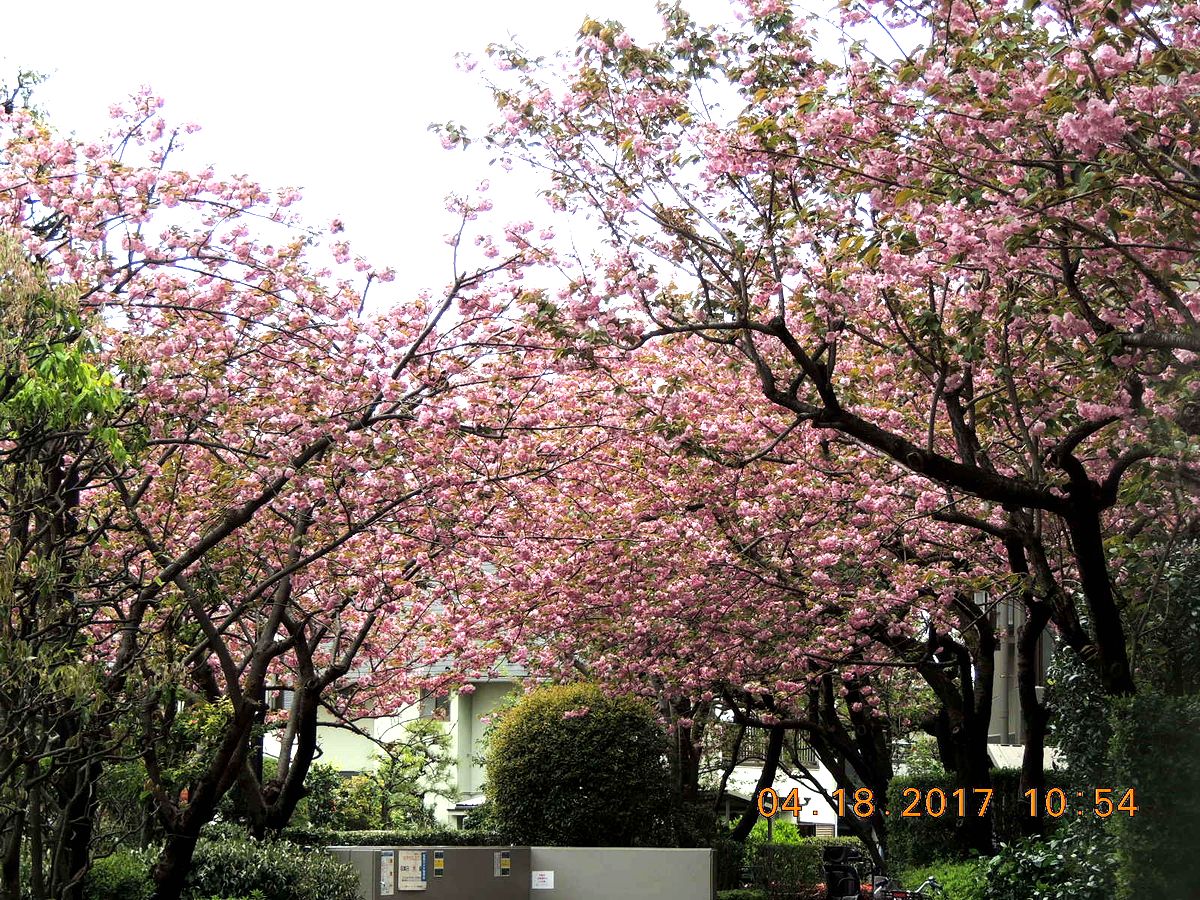 f0104277_19434177.jpg