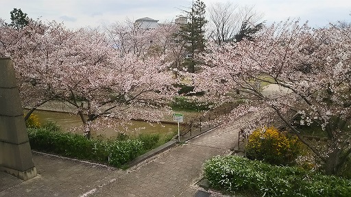 e0020682_1655354.jpg