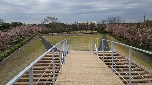 e0020682_1656158.jpg