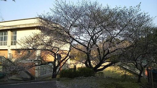 e0020682_1725418.jpg