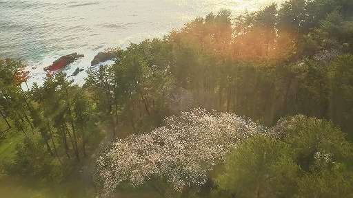 e0020682_17291755.jpg
