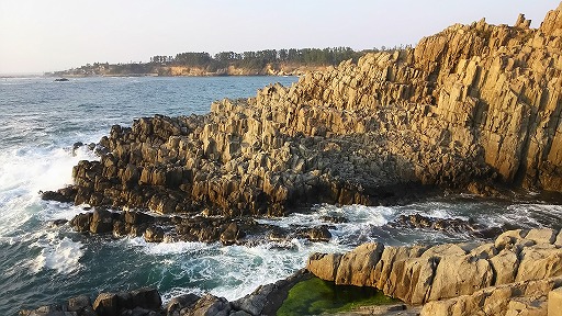 e0020682_17365424.jpg