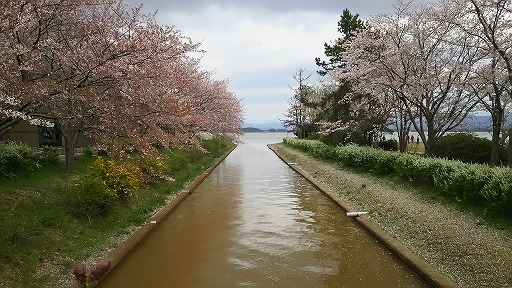 e0020682_1745028.jpg