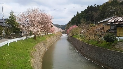 e0020682_176077.jpg