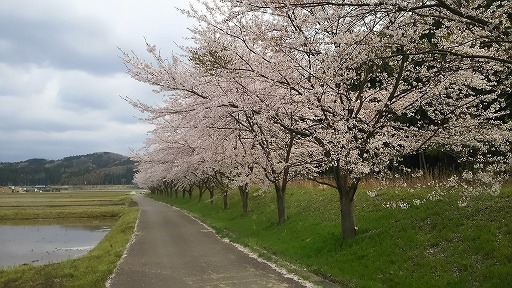 e0020682_1791011.jpg