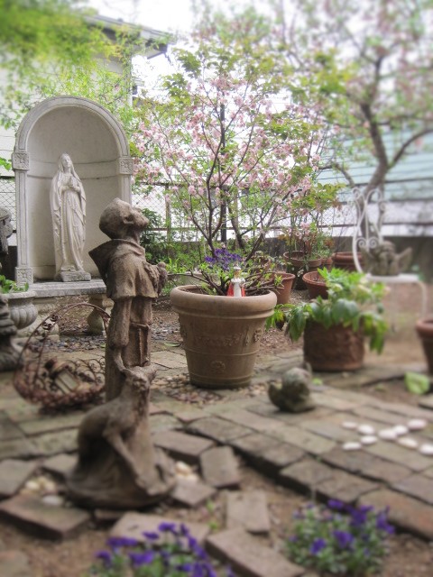 c0084183_2040502.jpg