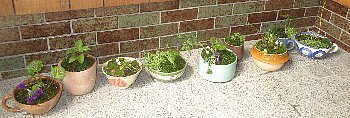f0003283_19085518.jpg