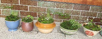 f0003283_19101301.jpg