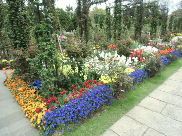 e0114588_15461881.jpg