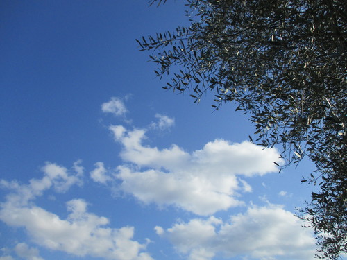 d0333091_1945287.jpg