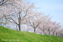 c0239392_15514163.jpg