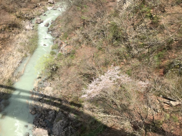 c0011300_17032167.jpg