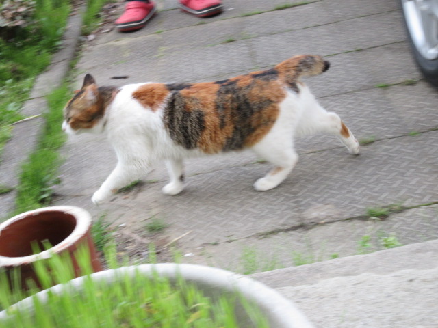 a0203003_2204015.jpg