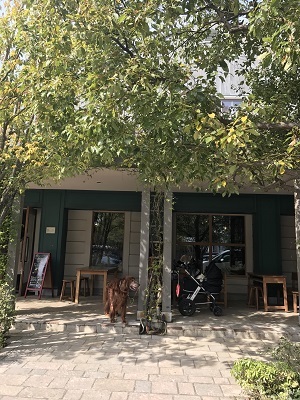 a0134004_21511718.jpg