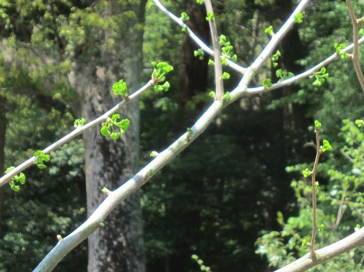 e0245404_185942.jpg