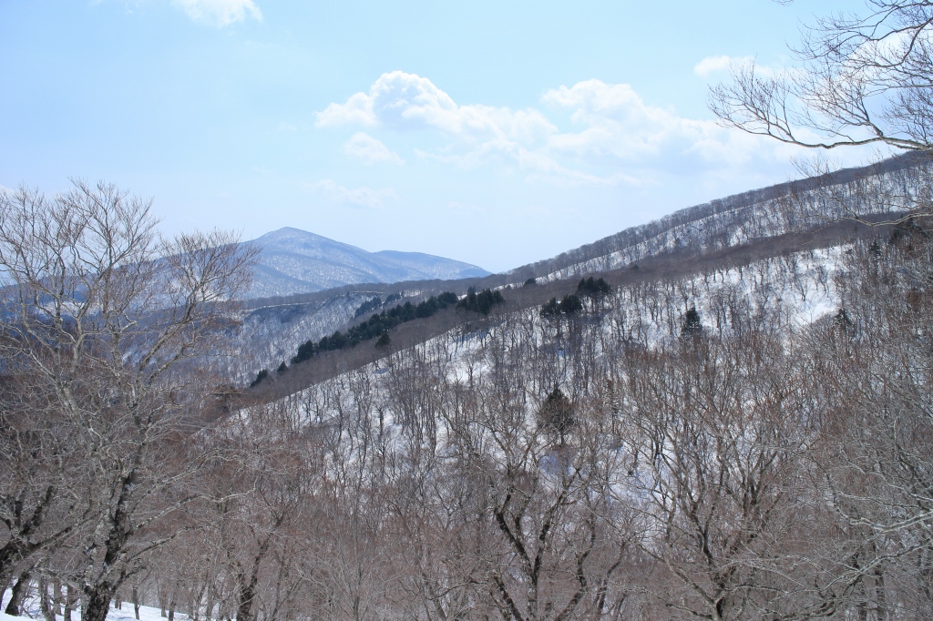 b0050305_19214741.jpg