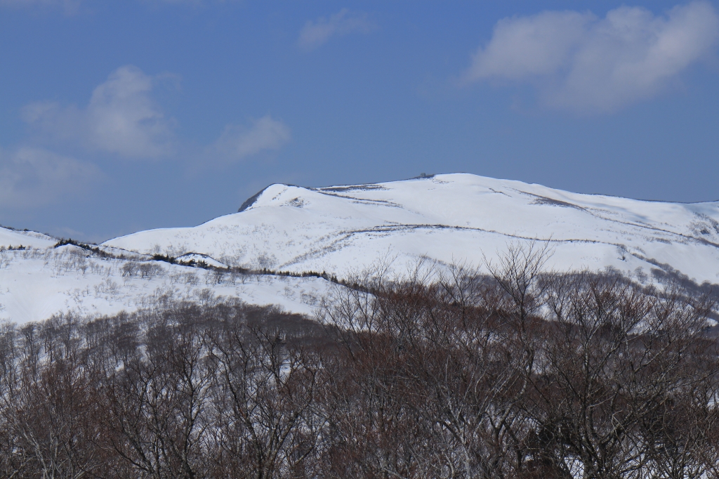 b0050305_19221638.jpg