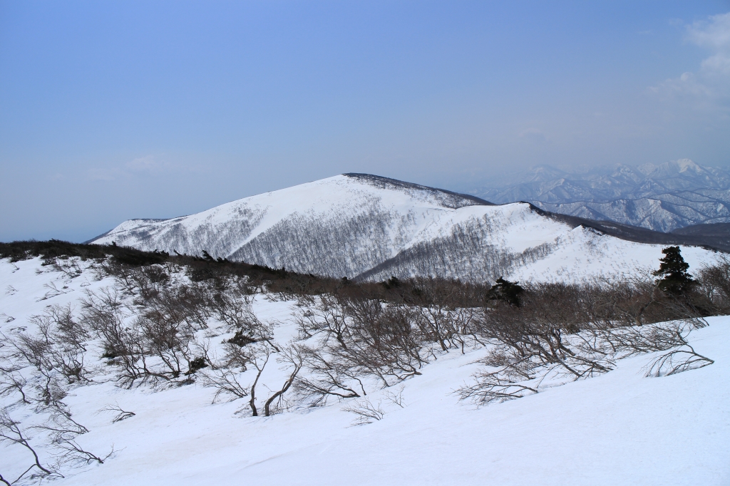 b0050305_19351579.jpg