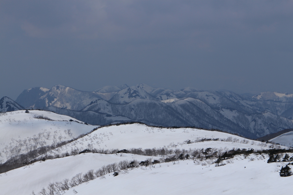 b0050305_19394776.jpg