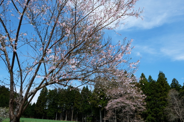 f0138305_19222543.jpg