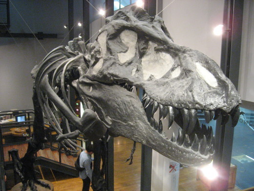c0062511_21171049.jpg