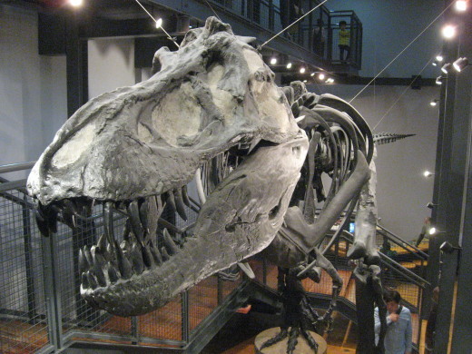 c0062511_21175101.jpg