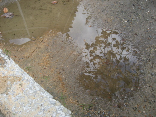 c0062511_22023510.jpg