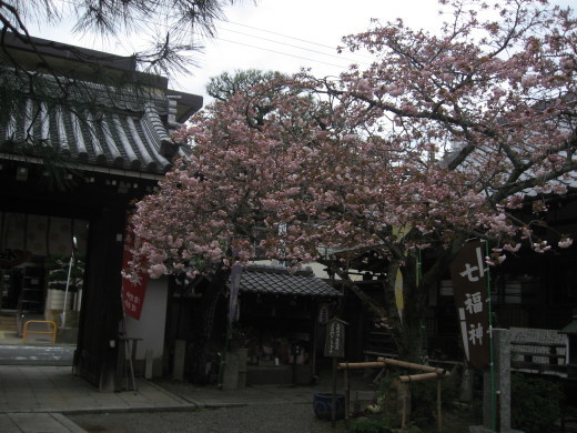 c0062511_22082337.jpg
