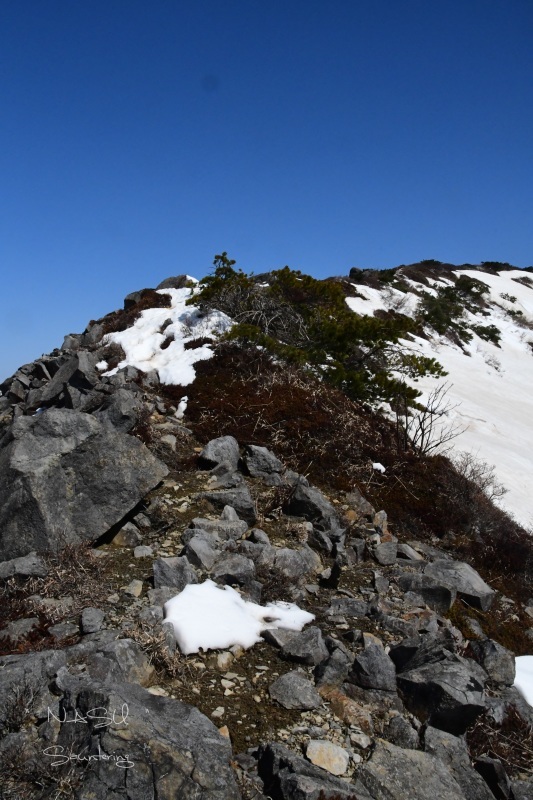 b0223512_23124560.jpg