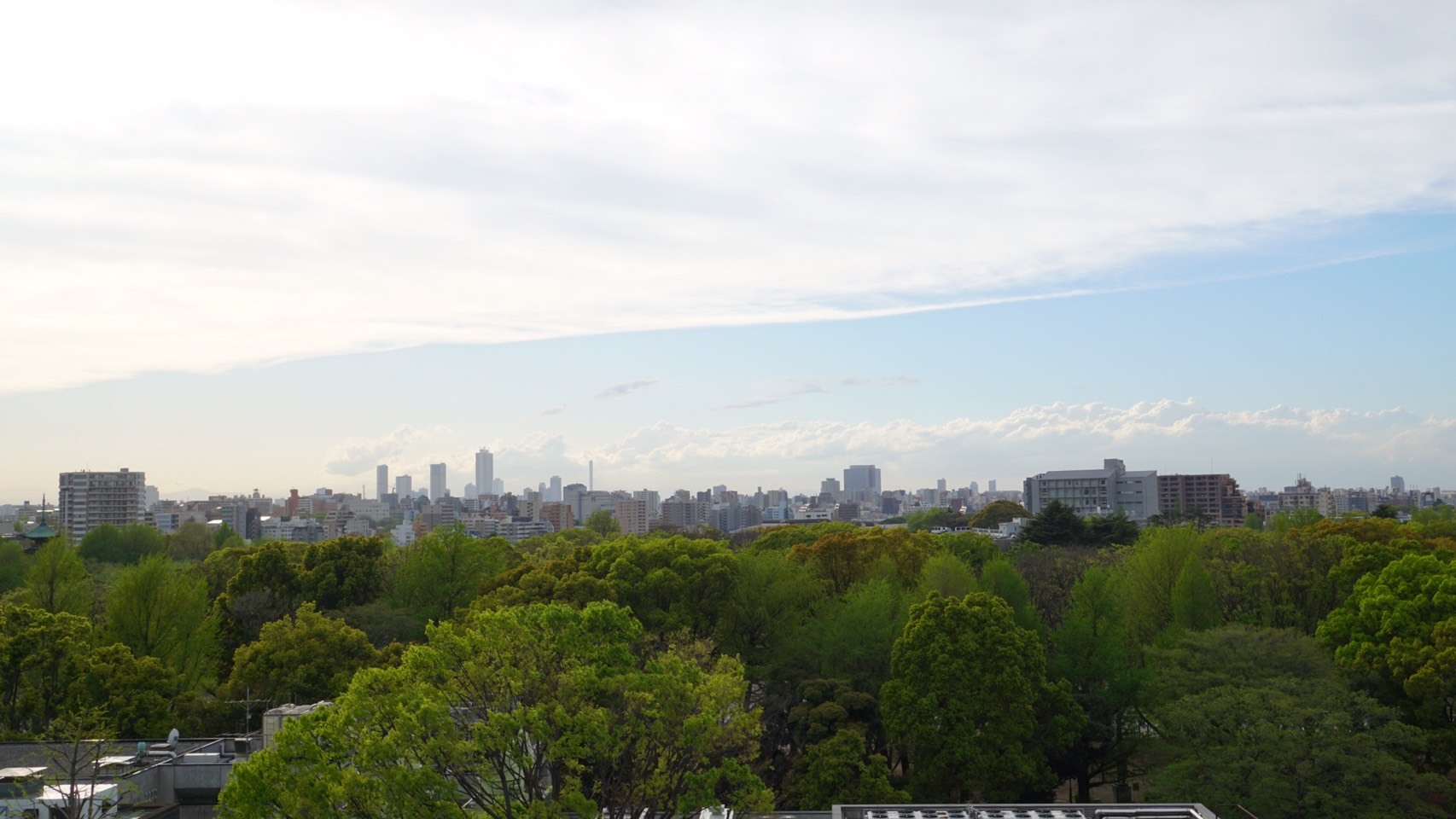 c0016112_12512294.jpg