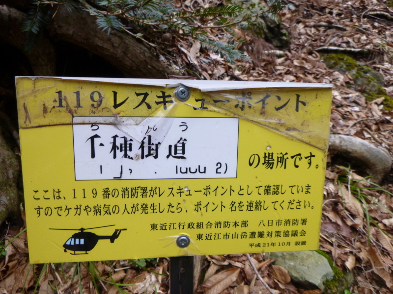 d0170615_21434071.jpg