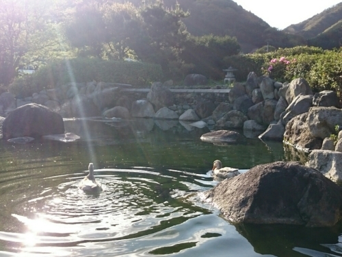 c0213817_21182058.jpg