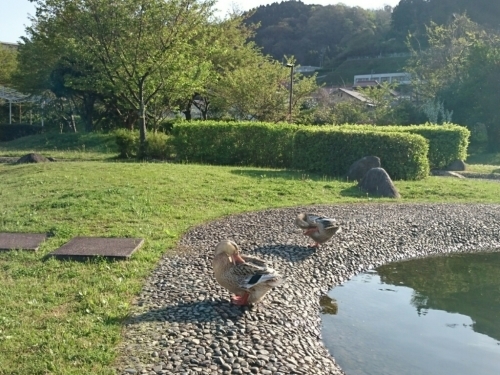 c0213817_21182691.jpg