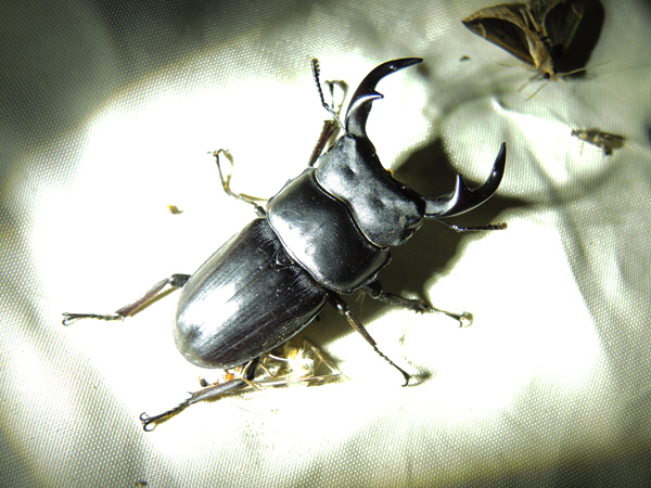 c0346119_07264671.jpg