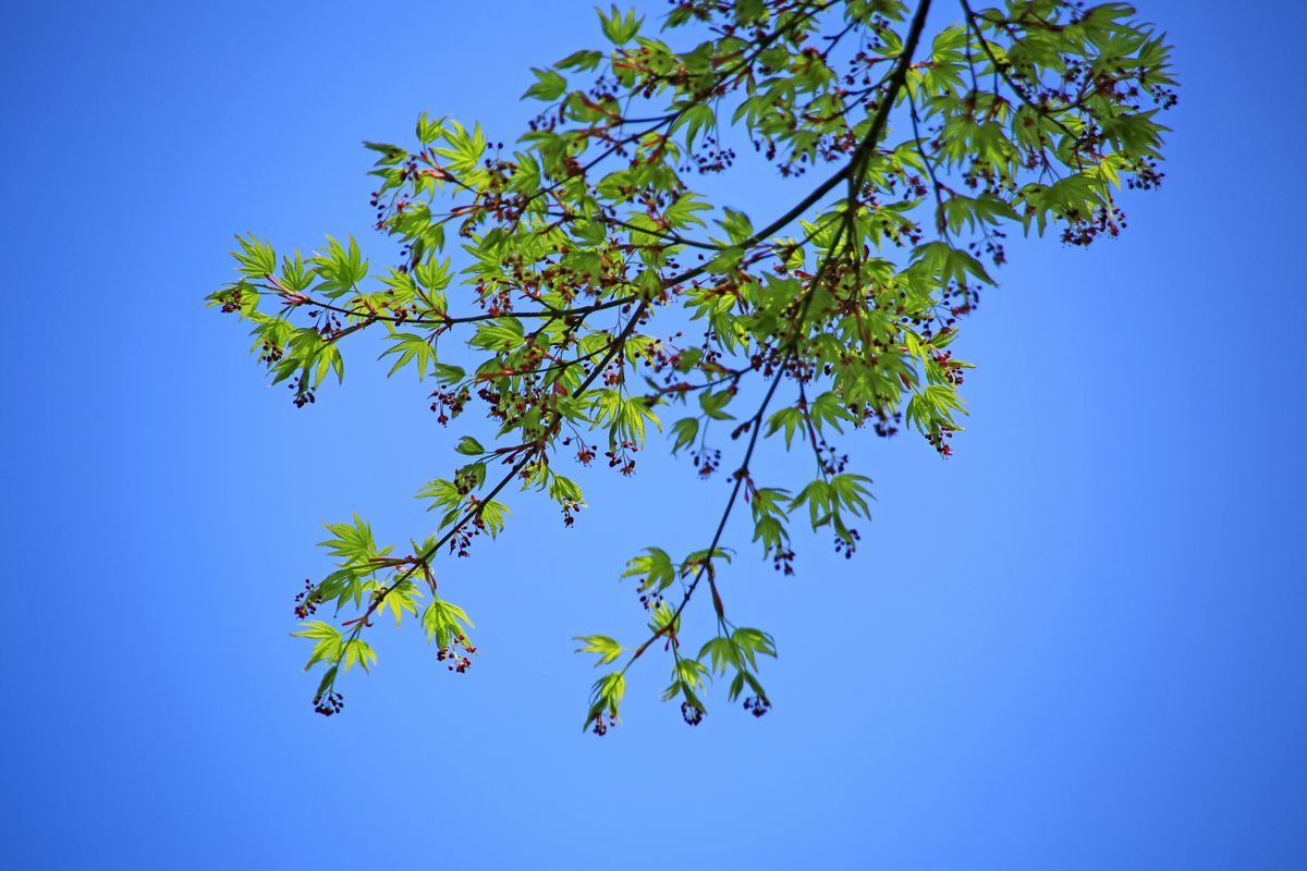 c0104227_09414364.jpg