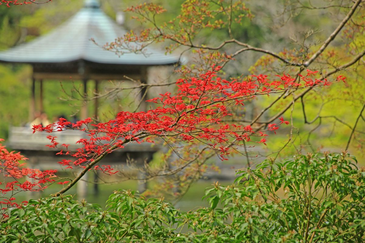 c0104227_09460158.jpg